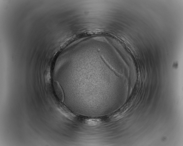 X0000099490508200805291109