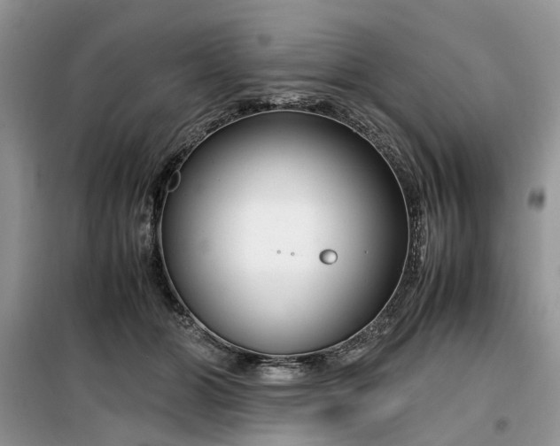 X0000099490510200805291109