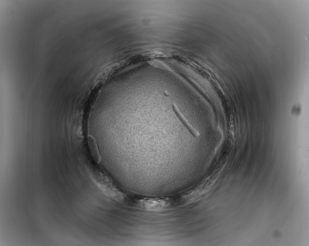 X0000099490512200805291109