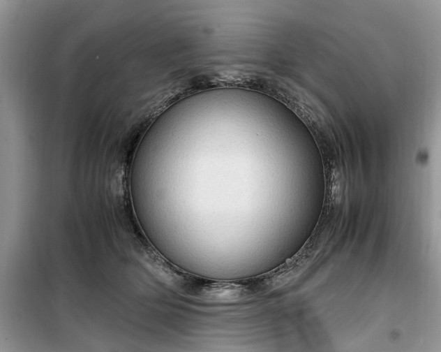 X0000099490514200805291109