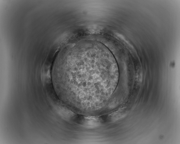 X0000099490516200805291109