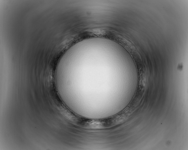 X0000099490518200805291109