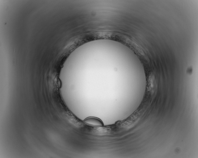 X0000099490522200805291109