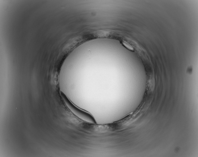 X0000099490525200805291109