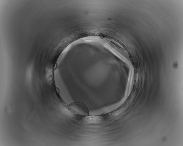 X0000099490526200805291109