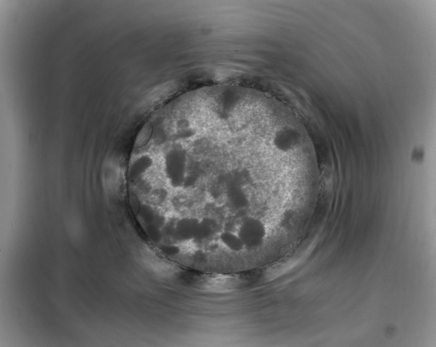 X0000099490527200805291109