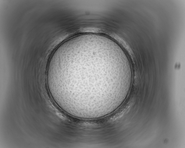 X0000099490529200805291108