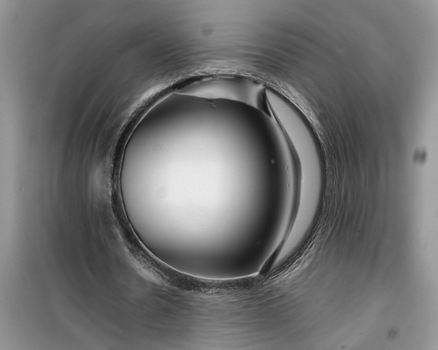 X0000099490530200805291108