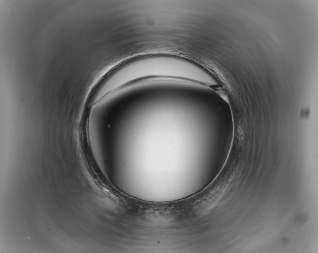 X0000099490532200805291108