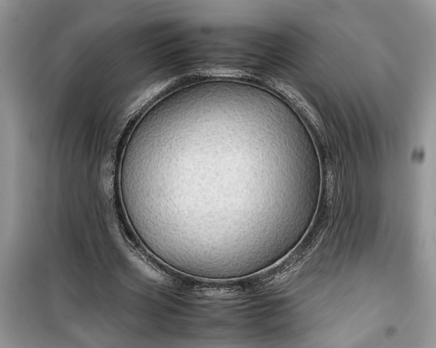 X0000099490533200805291109