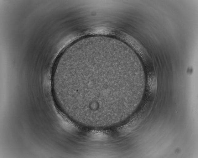 X0000099490534200805291109