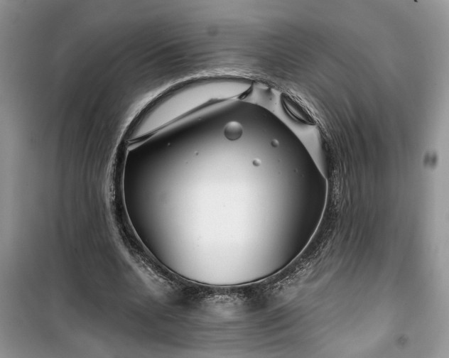 X0000099490536200805291109