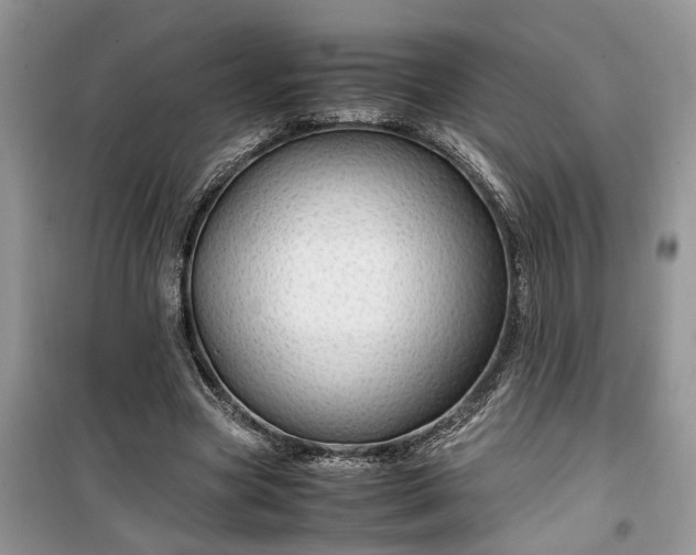 X0000099490537200805291109