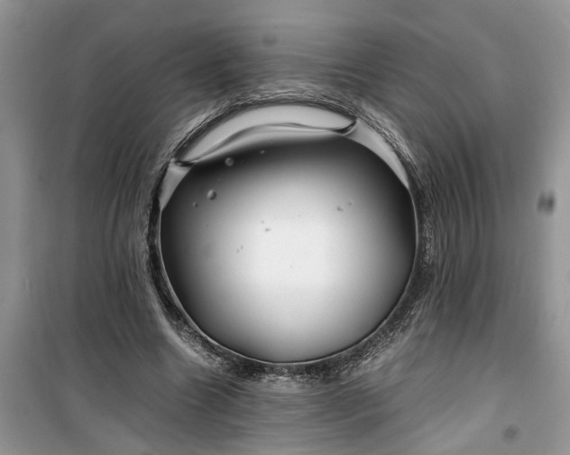 X0000099490538200805291109