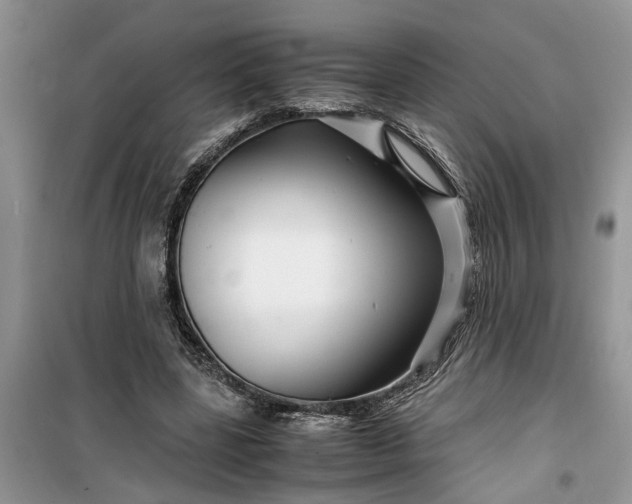 X0000099490539200805291109