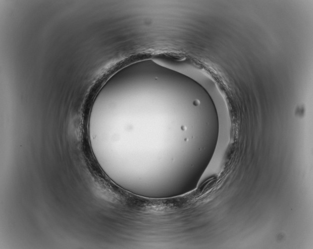 X0000099490540200805291109