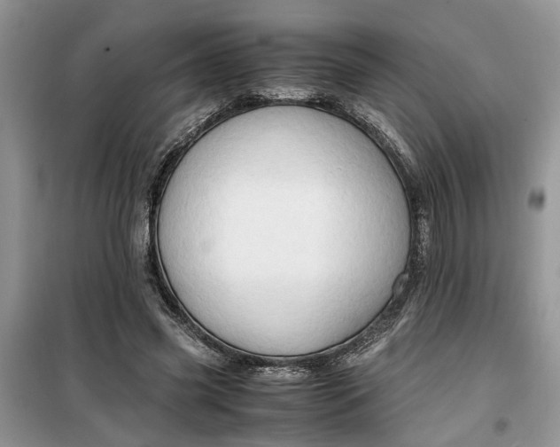 X0000099490541200805291109