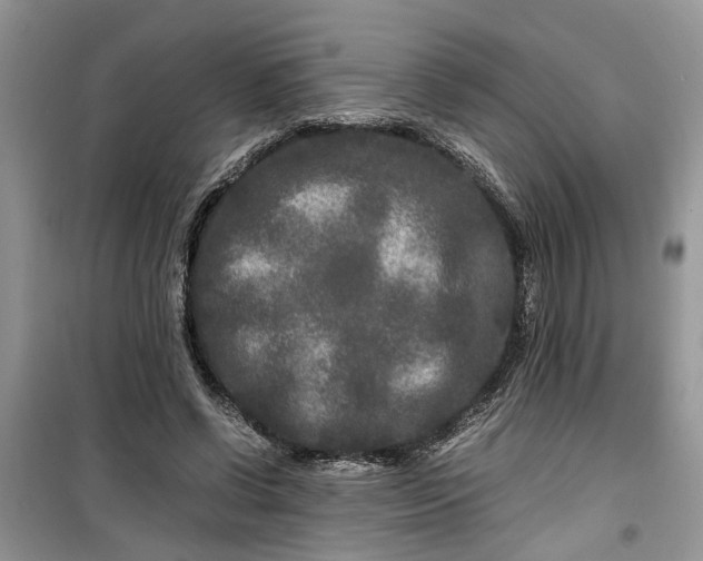 X0000099490542200805291109