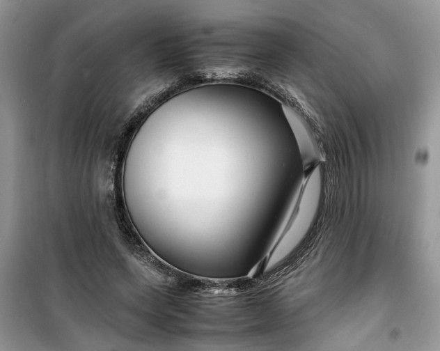 X0000099490543200805291109