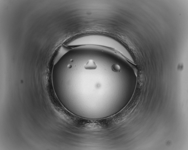 X0000099490544200805291109