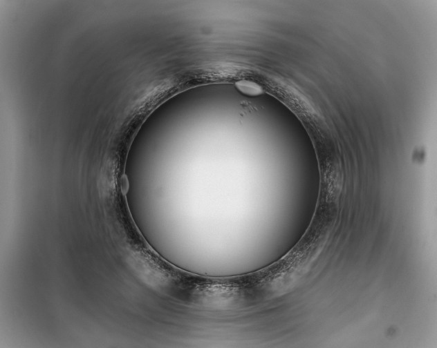 X0000099490546200805291109