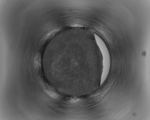 X0000099490547200805291109