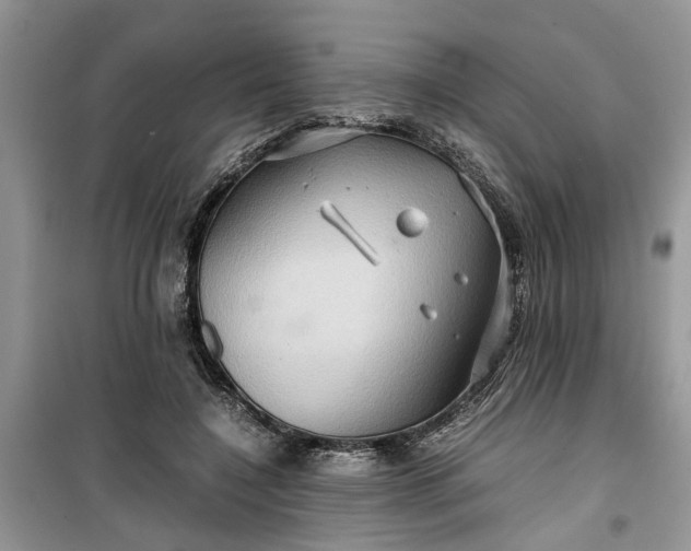 X0000099490548200805291109