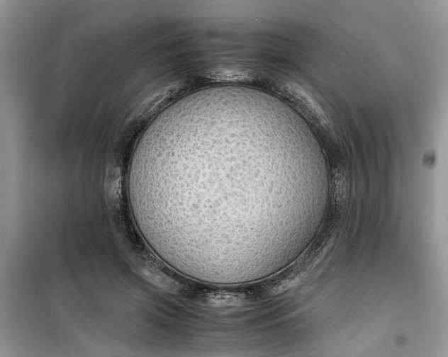 X0000099490549200805291109