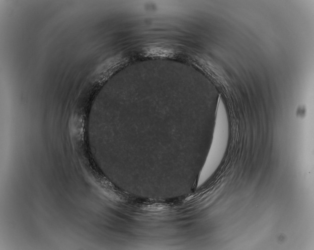 X0000099490551200805291109