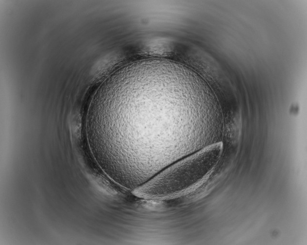 X0000099490552200805291109