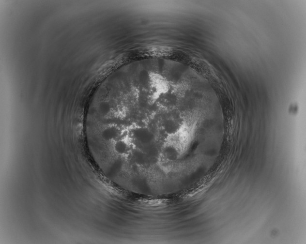 X0000099490553200805291109