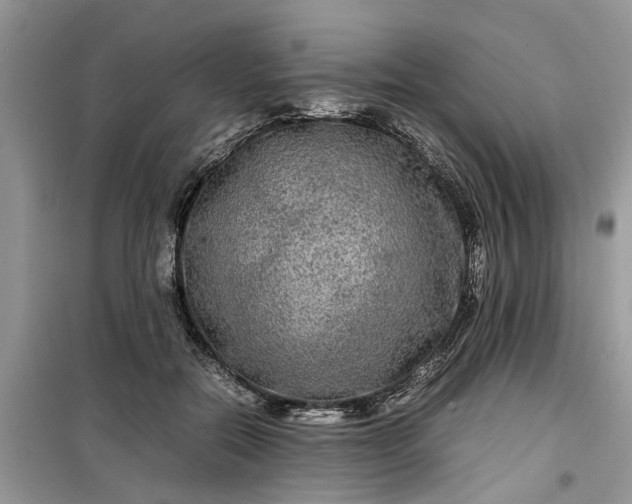 X0000099490554200805291109