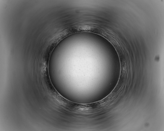 X0000099490555200805291109