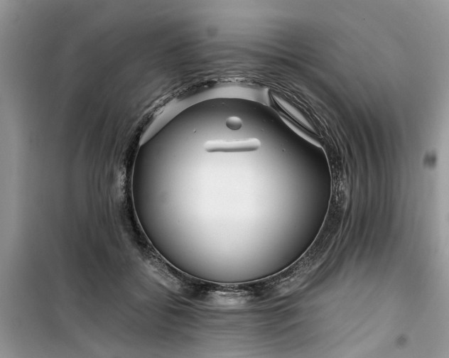 X0000099490556200805291109