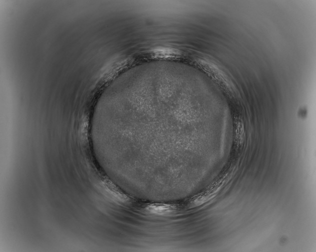 X0000099490557200805291109