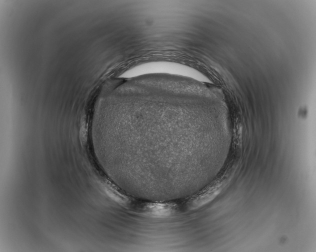 X0000099490558200805291109