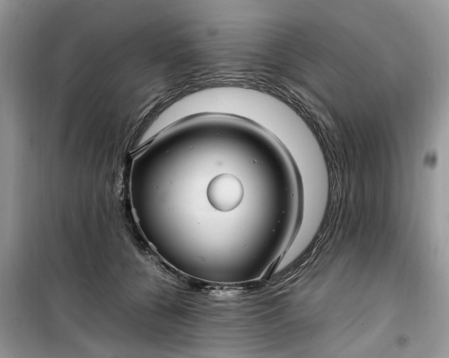 X0000099490560200805291109