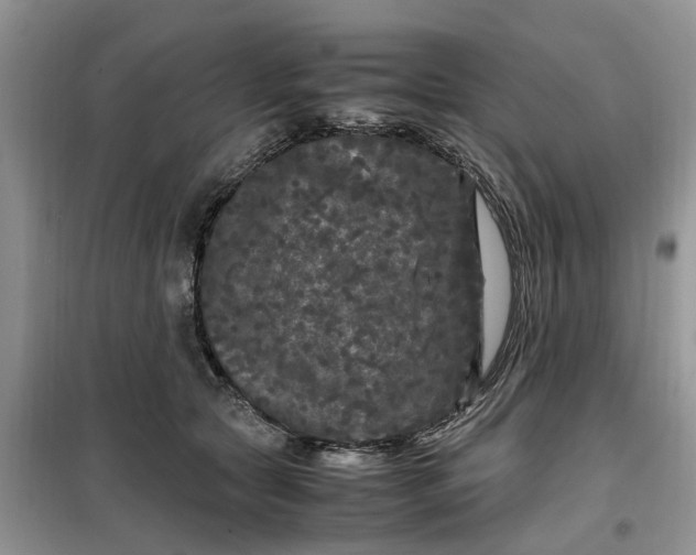 X0000099490561200805291109