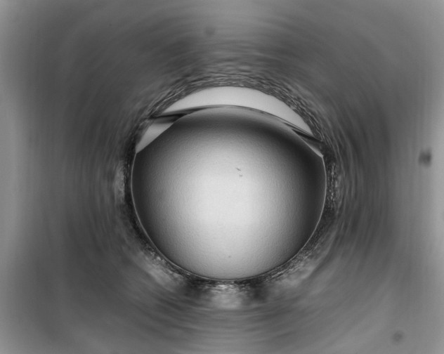 X0000099490562200805291109