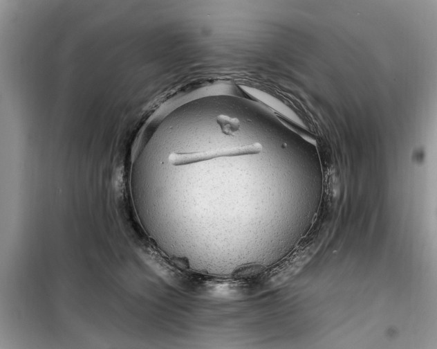 X0000099490564200805291109