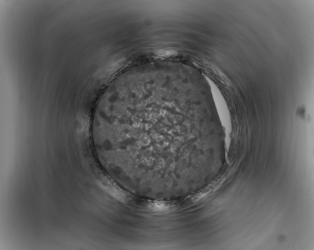 X0000099490565200805291109