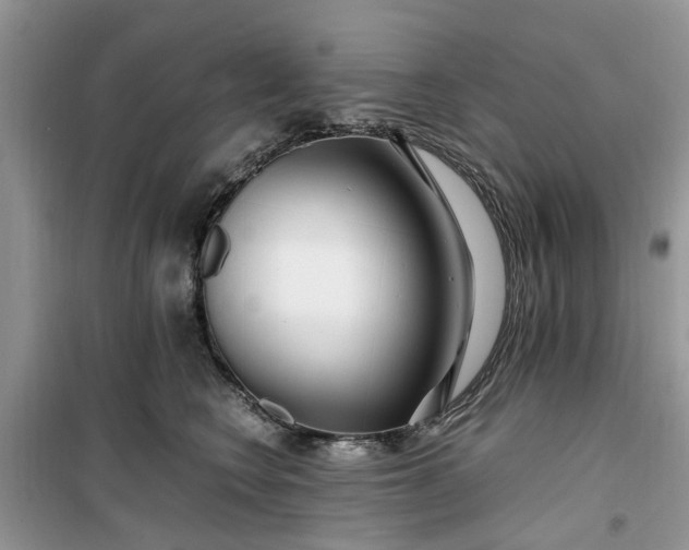 X0000099490566200805291109