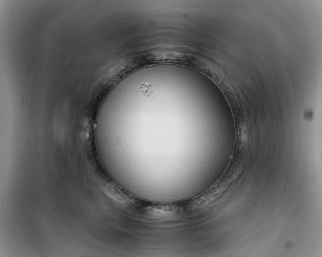 X0000099490567200805291109