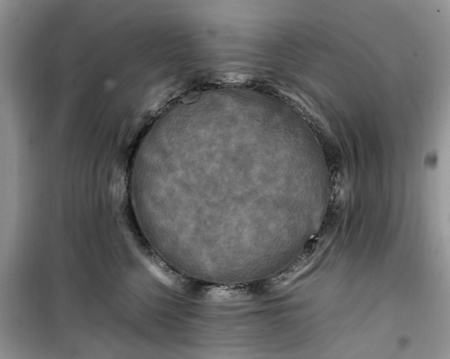 X0000099490568200805291109