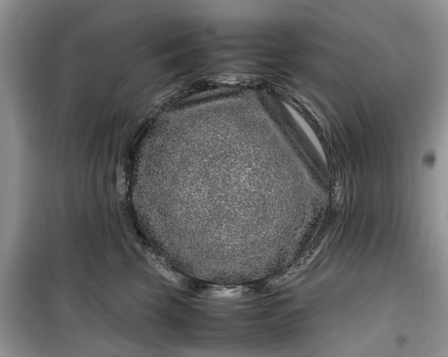 X0000099490569200805291109