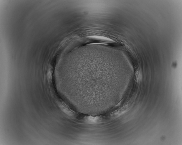 X0000099490570200805291109