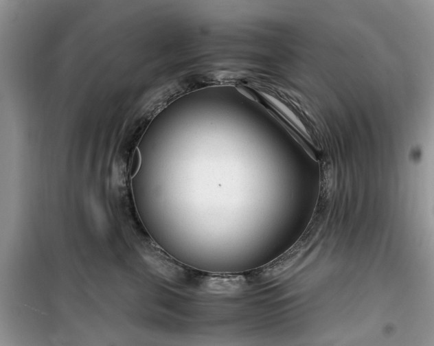 X0000099490571200805291109