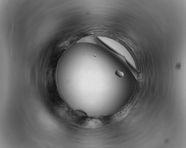 X0000099490572200805291109