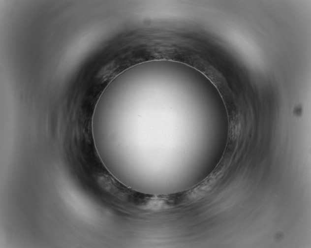 X0000099490574200805291109