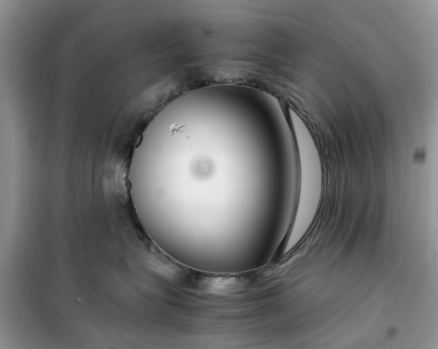 X0000099490575200805291109